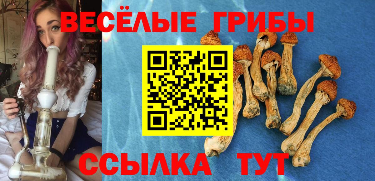 Керчь  где купить наркоту  Вход с VPN  Галлюциногенные грибы Psilocybe  Галлюциногенные грибы Psilocybe 